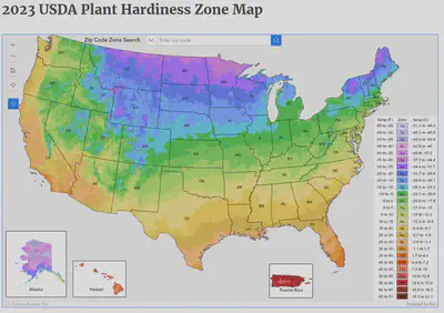 usa zones