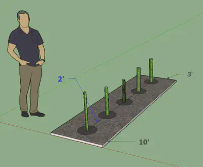 tomato plant spacing