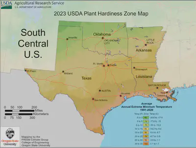 South Central Zone