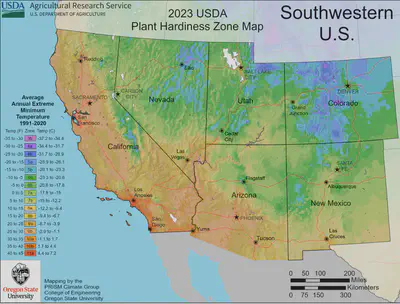 South West Zone